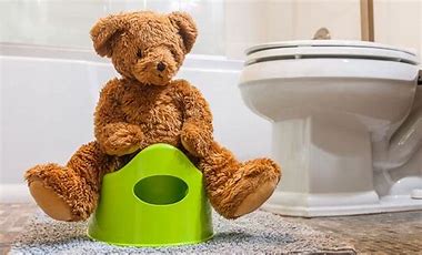 Teddy Bear in a toilet on a baby potty